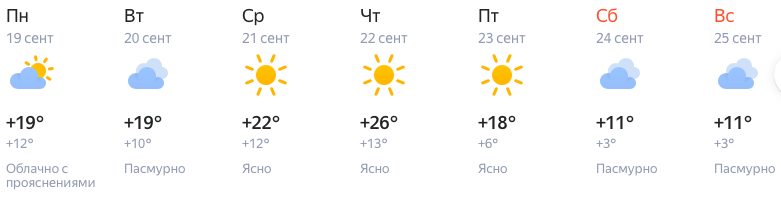 Фото Температура поднимется до +26 на неделе с 19 сентября в Новосибирске 2